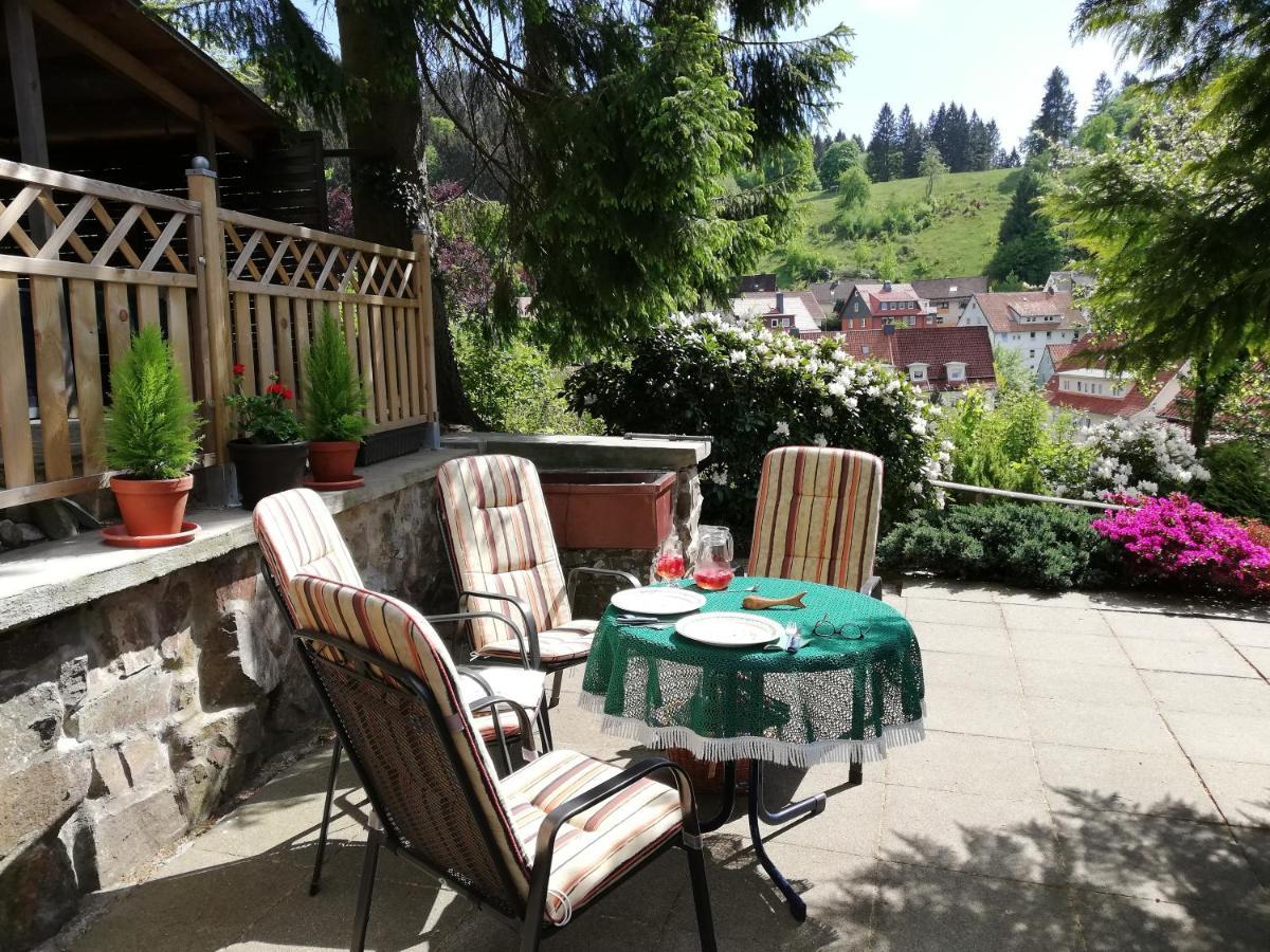 Pension Rheingold Garni Bad Grund Ngoại thất bức ảnh
