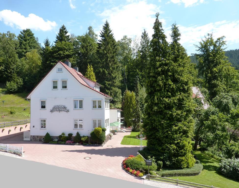Pension Rheingold Garni Bad Grund Ngoại thất bức ảnh