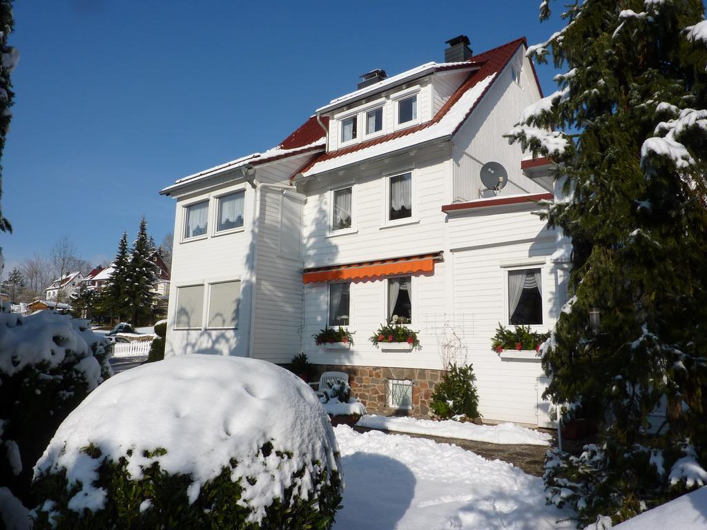Pension Rheingold Garni Bad Grund Ngoại thất bức ảnh